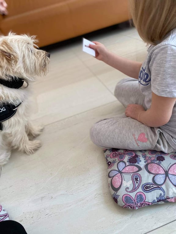 Kviečiame atrasti kaniterapiją „Špoko“ centre